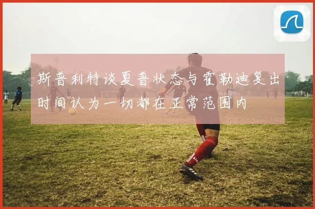 斯普利特谈夏普状态与霍勒迪复出时间认为一切都在正常范围内